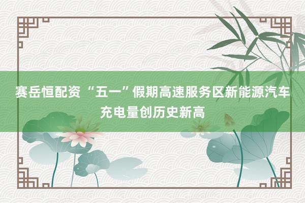 赛岳恒配资 “五一”假期高速服务区新能源汽车充电量创历史新高