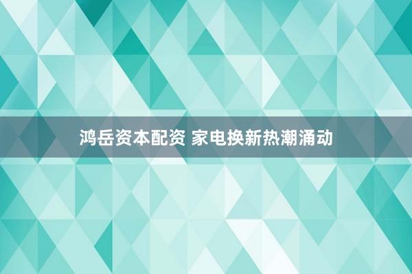 鸿岳资本配资 家电换新热潮涌动