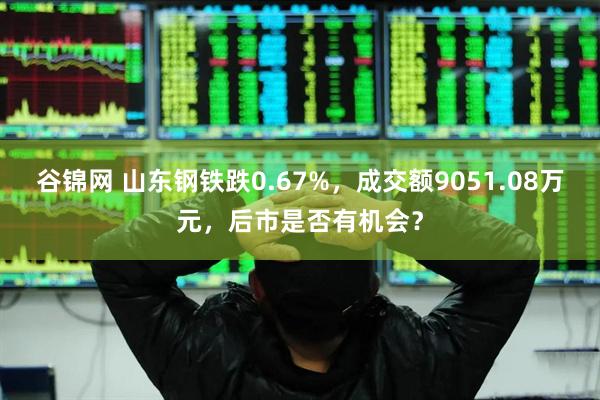 谷锦网 山东钢铁跌0.67%，成交额9051.08万元，后市是否有机会？