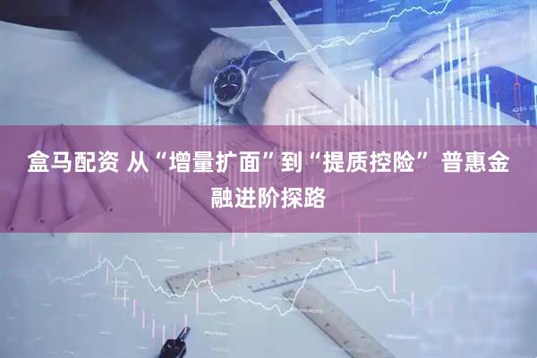 盒马配资 从“增量扩面”到“提质控险” 普惠金融进阶探路