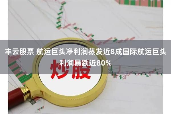 丰云股票 航运巨头净利润蒸发近8成国际航运巨头利润暴跌近80%